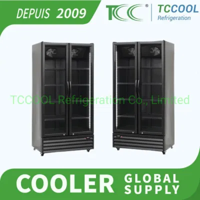 Expositor de porta de vidro do Brasil para mercearia, bebida energética, geladeira vertical, refrigerador comercial de porta de vidro duplo de alta qualidade fabricado na China