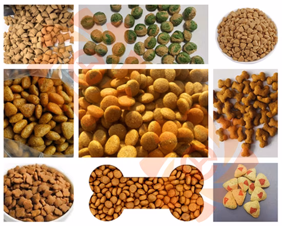 Linha de produção extrusora de alimentos para cães secos para animais de estimação, fabricação de alto rendimento, máquina flutuante de processamento de pelotas de ração para peixes