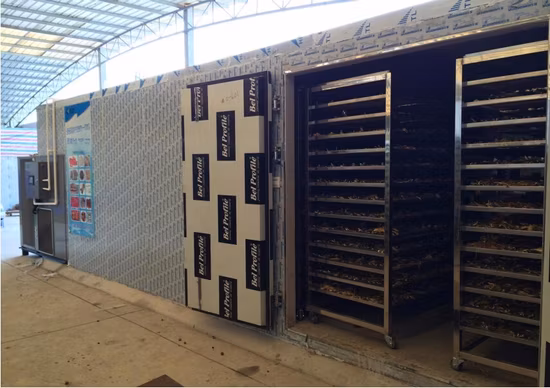 Ar quente de secagem de alimentos desidratador de peixes frutas vegetais secador de máquina de secagem